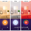 Multi Color Changing Magic RGB Dimmable Bulb Light